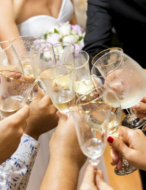 A group of people clinking glasses, likely toasting at a celebration or event. A bride is visible, suggesting it might be a wedding.