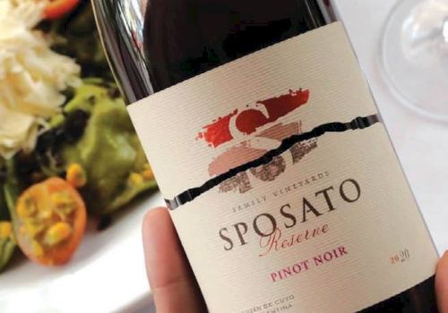 A person holds a bottle of Spostaato Pinot Noir wine with a plate of salad in the background, and a glass of red wine on the table.