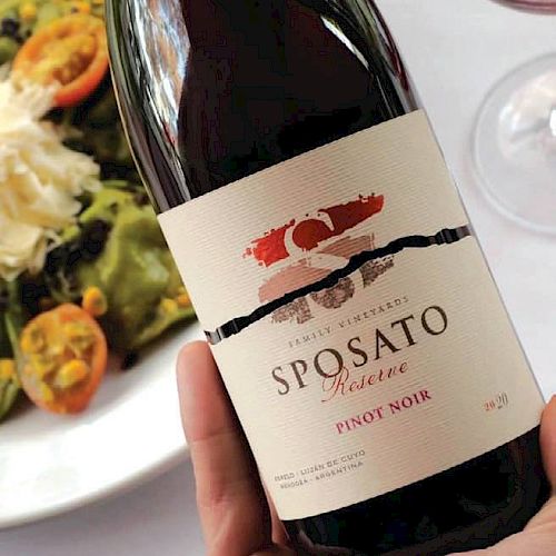 A person holds a bottle of Spostaato Pinot Noir wine with a plate of salad in the background, and a glass of red wine on the table.
