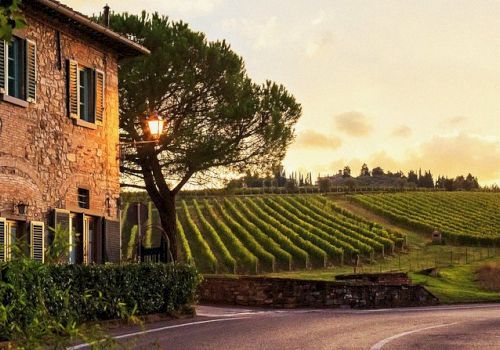 A stone house beside a road, with green vines, a lamp post, and a terraced vineyard stretching into the hills at sunset.