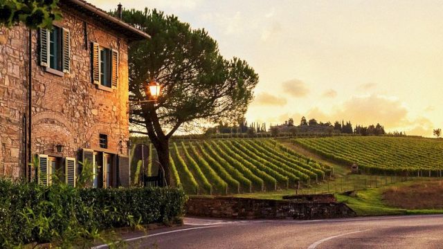 A stone house beside a road, with green vines, a lamp post, and a terraced vineyard stretching into the hills at sunset.