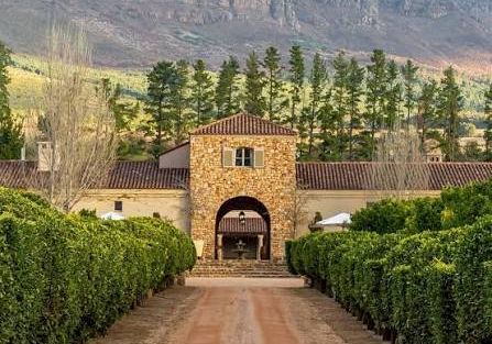 Vineyard entrance with a stone gate, dirt road, trimmed hedges, and pine trees, set against mountains in the background, sunny and serene.