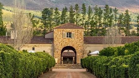 Vineyard entrance with a stone gate, dirt road, trimmed hedges, and pine trees, set against mountains in the background, sunny and serene.