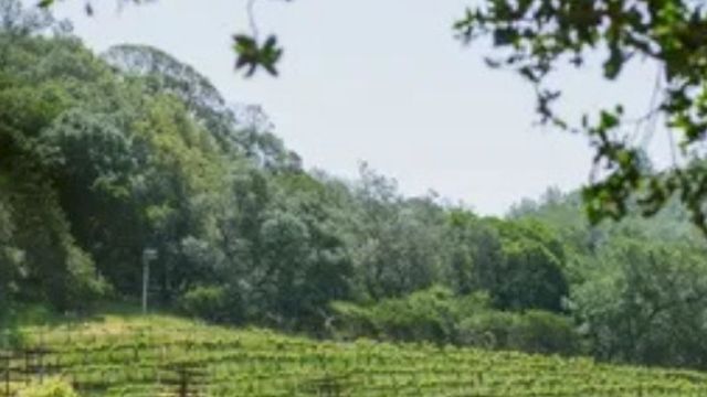 Panorama Restaurant & Wine Bar
