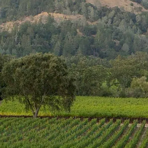 Panorama Restaurant & Wine Bar